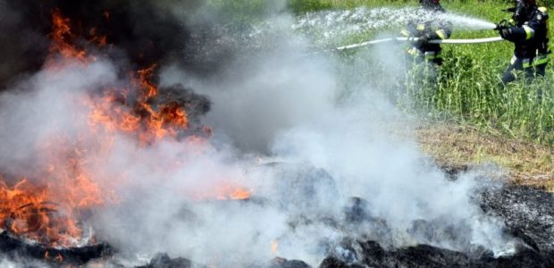 09.04.2018 Od początku roku podkarpaccy strażacy wyjeżdżali już do 517 pożarów traw na nieużytkach, polach i pastwiskach. Ogień pochłonął ponad 170 hektarów łąk, pól i nieużytków. W 2017 r. na Podkarpaciu doszło […]