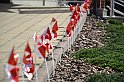 _DSC7670