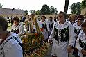 _DSC7474