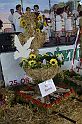 _DSC7698