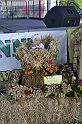 _DSC7700