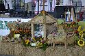 _DSC7706