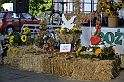 _DSC7707