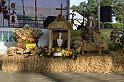 _DSC7799