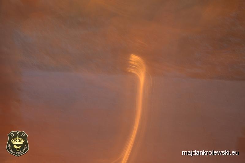 DSC_6942.JPG