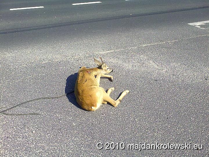 20091102052.jpg