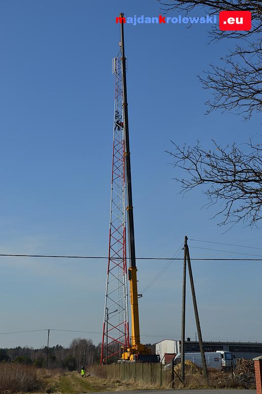 DSC_4242.JPG