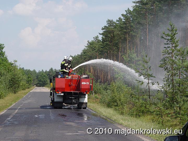 DSC01911.JPG