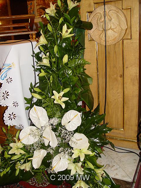 DSC04421.JPG