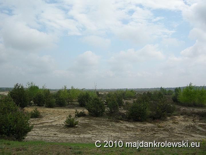 DSCN7710.JPG