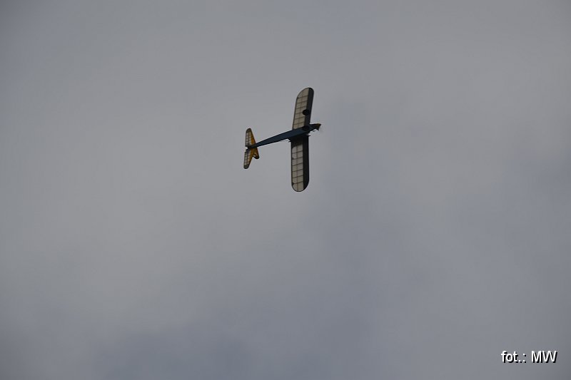 _DSC3184.JPG