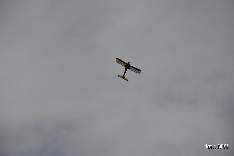 _DSC3189.JPG