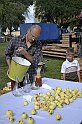 _DSC2968