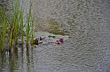 _DSC2977