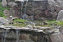 _DSC3030