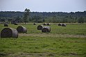 _DSC3032
