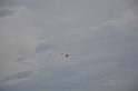 _DSC3183