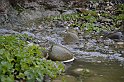 _DSC3237