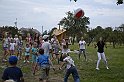 _DSC3384