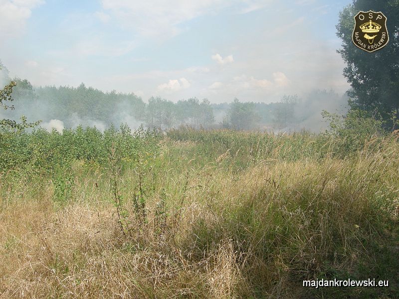 DSCN3470.JPG