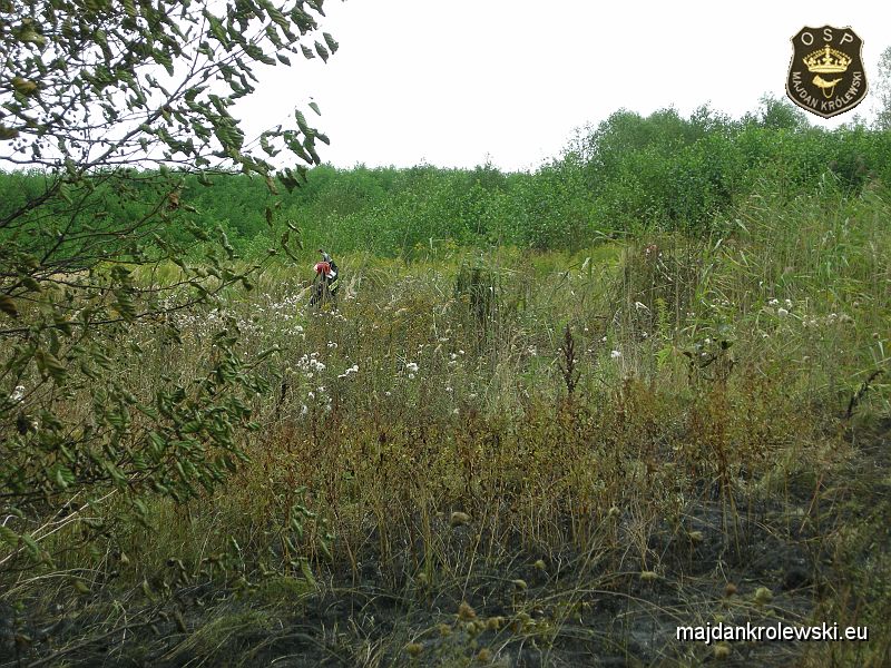 DSCN3476.JPG