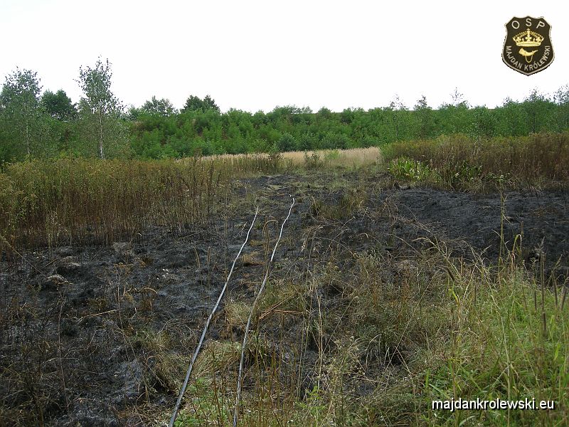 DSCN3478.JPG