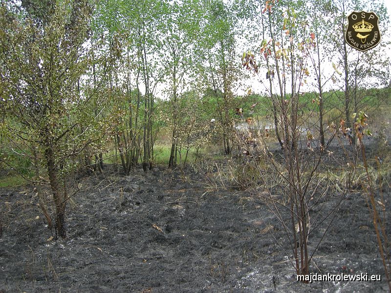DSCN3484.JPG