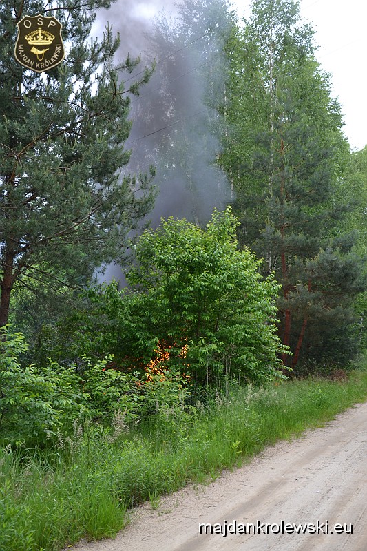 DSC_9474.JPG