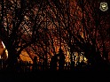 DSC04258