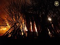 DSC04259