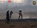 DSC04519