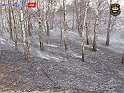 DSC04529
