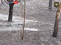 DSC04530