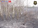 DSC04531