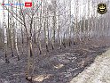 DSC04533