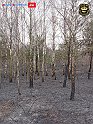 DSC04536