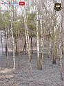 DSC04537