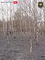 DSC04541