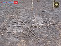 DSC04543