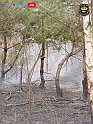 DSC04545