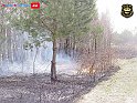 DSC04547