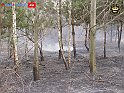 DSC04548