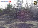 DSC04551