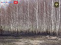 DSC04552