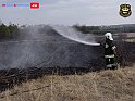 DSC04555