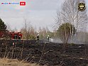 DSC04557