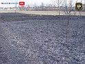 DSC04567