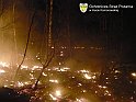 hutakomorowska17