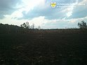 ostrowybar6