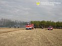 zwirowniahk29